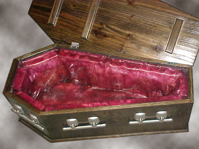 Coffin Cooler Miguel Bizzare Interior