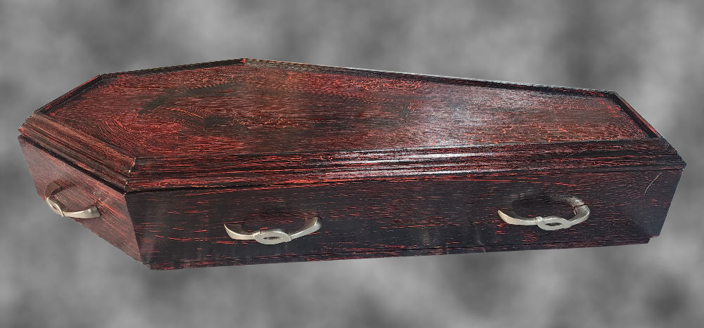 Coffin Display Case