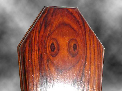 Cocobolo Dart Coffin