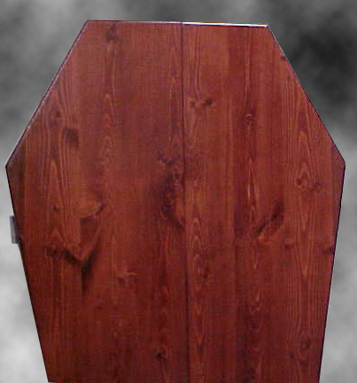 Freestanding DVD Coffin