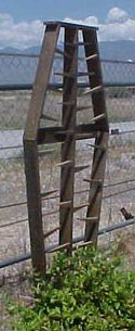 Coffin Trellis