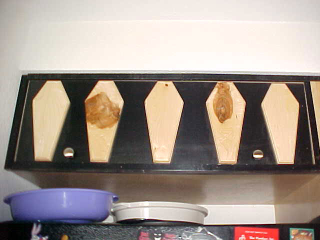 Coffin Cabinet Above Refrigerator